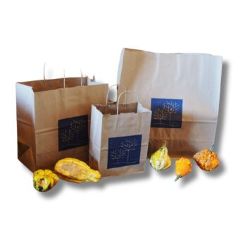 Image of handled paper shopping bags.